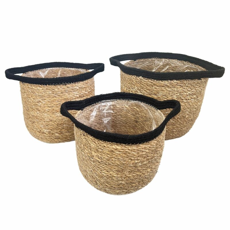 Seagrass planters set of 3